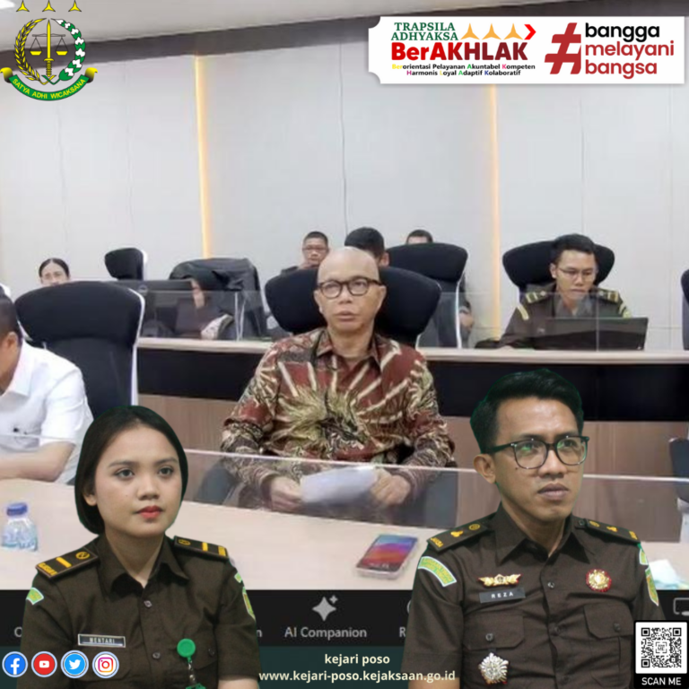rapat inteliz